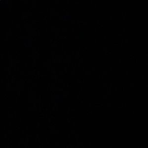 Meet your Posher, Maya